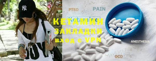 индика Карпинск
