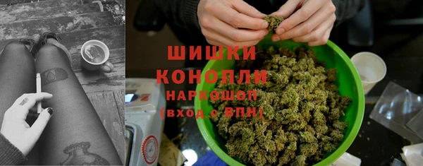 индика Карпинск
