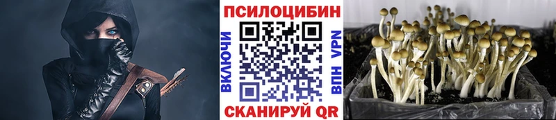 Псилоцибиновые грибы GOLDEN TEACHER  Купить где  Бокситогорск 